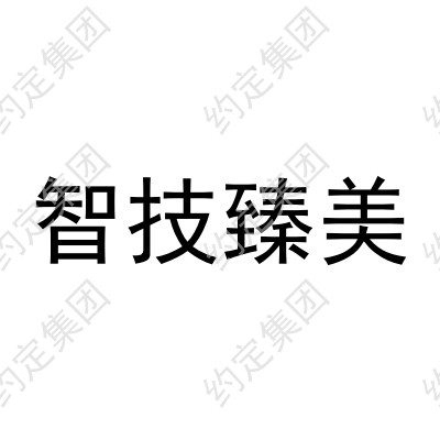 智技臻美