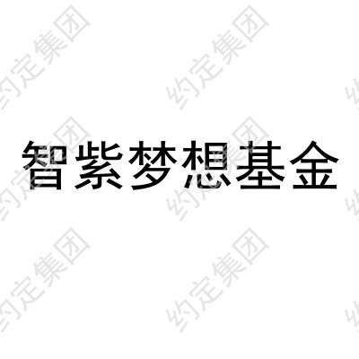 智紫梦想基金